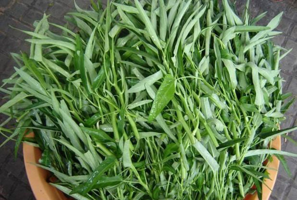 Thành phần dinh dưỡng của rau muống
