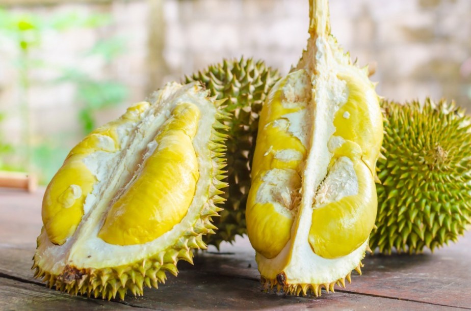 Nổi tiếng với hương vị đặc trưng, ăn sầu riêng mỗi ngày mang lại hàng tá lợi ích sức khỏe