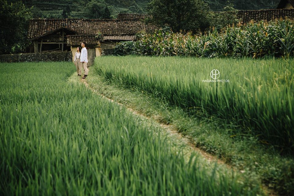 Cẩm nang du lịch Hà Giang trọn gói từ A – Z