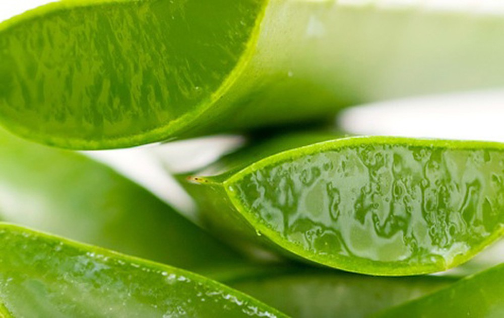 Thuốc nam trị chứng táo bón 