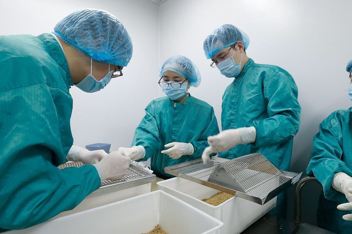 Việt Nam thử nghiệm vắc xin COVID-19 trên khỉ như thế nào? Việt Nam thử nghiệm vắc xin COVID-19 trên khỉ như thế nào?