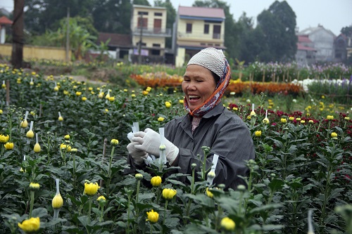 Huyện Việt Yên (Bắc Giang): Phát triển kinh tế đi đôi với ổn định xã hội