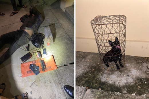 Vụ thanh niên đi từ Ninh Bình sang Hòa Bình trộm chó