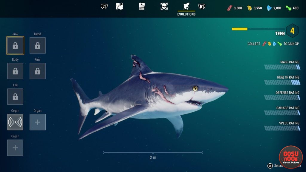 Cộng đồng game thủ thích thú với Maneater - tựa game cá mập cắn cáp mới ra mắt