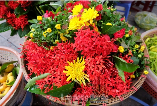 le-cung-ram-thang-7-4-loai-hoa-duoc-ua-chuong-de-trang-tri-ban-tho-3-1723450866.PNG