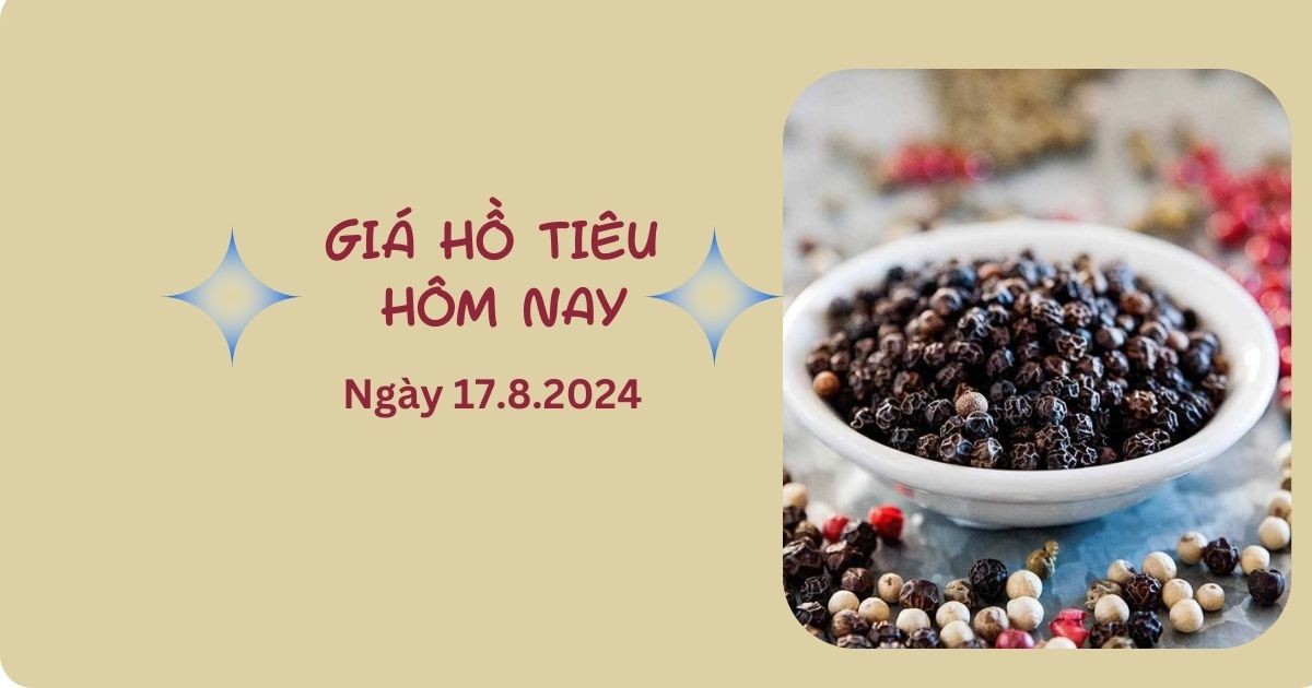 gia-tieu-ngay-178-nguon-cung-khan-hiem-gia-chao-mua-quoc-te-dat-144000-150000-dongkg-anh1-1723859924.jpg