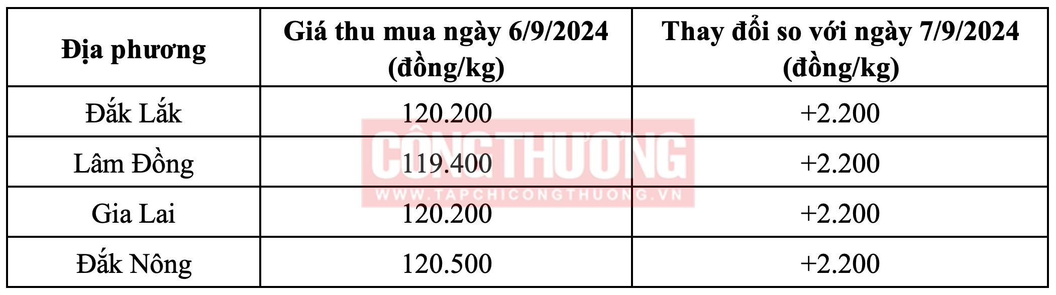 gia-ca-phe-hom-nay-69-dong-loat-tang-manh-2200-dongkg-anh1-1725585787.jpg