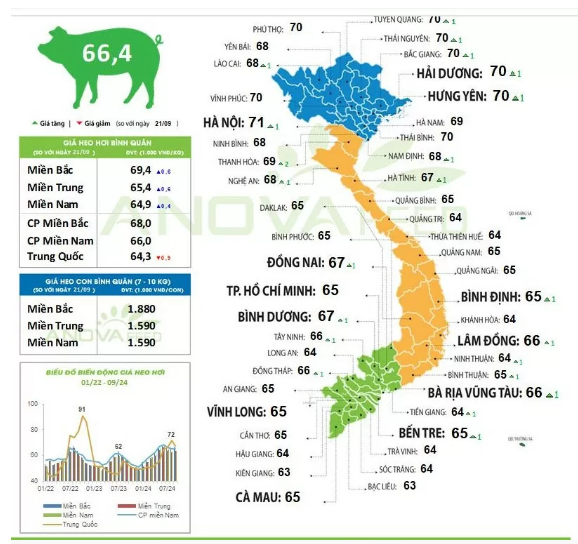 gia-heo-hoi-hom-nay-2492024tiep-da-tang-cao-mien-bac-cham-nguong-71000-dongkg-anh4-1727144330.PNG