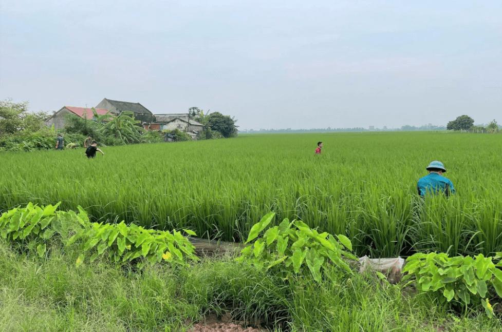 vu-mat-tich-bi-an-va-ly-ky-voi-cai-ket-day-bat-ngo-cua-3-chau-be-ninh-binh-anh2-1727253289.png