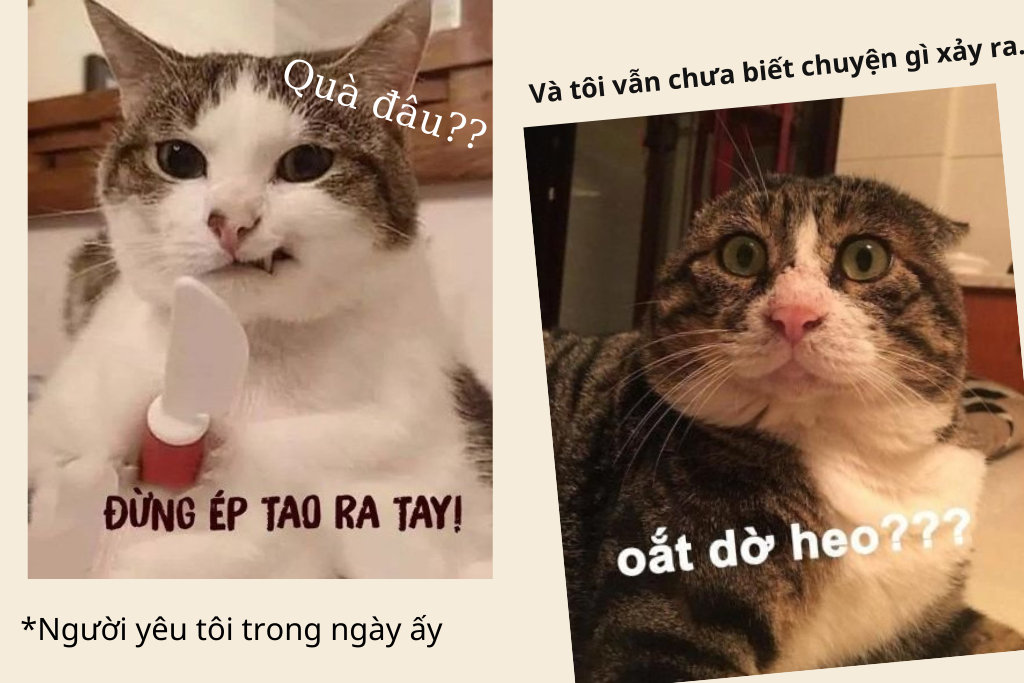 top-nhung-meme-2010-hai-huoc-dan-tinh-cuoi-nghieng-nga9-1729220121.jpg