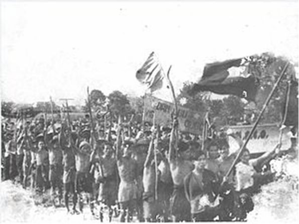 ntdkcotnb-1731313532.jpg