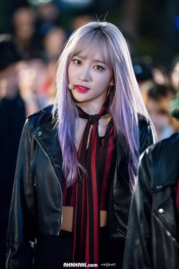 hani1