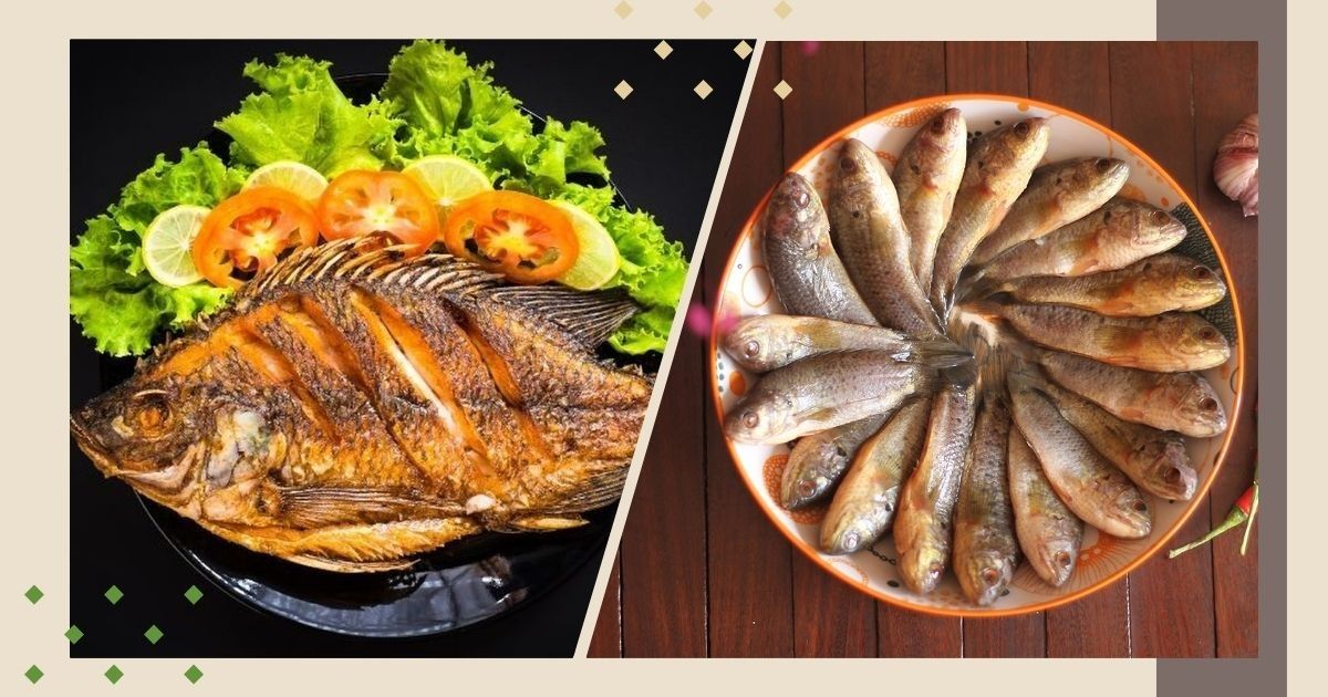 Khi rán cá rô nên để vảy hay cạo vảy mới giòn ngon? Có đúng là như vậy?