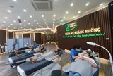 Nha khoa Quốc tế Hoàng Hường hoạt động thẩm mỹ viện 'chui'?