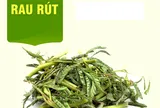 Rau rút điều trị mất ngủ, mát gan, bướu cổ và vô vàn công dụng khác
