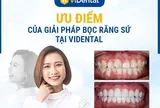 Bọc răng sứ ViDental: Giá cả đi kèm chất lượng, cam kết đồng hành trọn đời