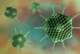Bệnh nhi 13 tháng tuổi tử vong vì Adenovirus dù không bệnh nền