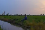 Trọn việc Đạo, vẹn việc Đời: Câu chuyện của lão nông 75 tuổi