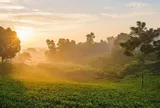 Du lịch Thái Nguyên: Không còn là “đi cho biết”