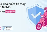Hướng dẫn cách tra cứu thời hạn bảo hiểm xe máy online cực nhanh