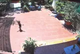Bé gái đứng không vững khi vừa ra sân, biết lý do dân tình gật gù: Cứ phải một lần mới chừa!