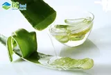 Nước nha đam: Thức uống bổ sung dưỡng chất đầy tiện lợi
