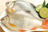Làm thế nào để khử mùi tanh của cá nhanh chóng, hiệu quả?