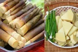 Hướng dẫn 5 mẹo khử độc măng, an toàn cho sức khỏe: Ai không biết quá phí