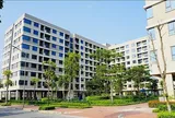 Siết tín dụng vay mua nhà thứ hai không trị được tận gốc 'bệnh' giá nhà tăng cao