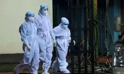 Bộ Y tế lưu ý không ăn trái cây bị động vật cắn để phòng virus Nipah