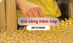 Giá vàng hôm nay 20/11/2024: Vàng SJC, nhẫn trơn vọt lên, chưa dừng đà tăng