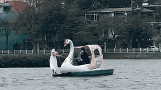 Đôi nam nữ đang đạp vịt có hành động khó hiểu giữa hồ, CĐM thi nhau đoán lý do