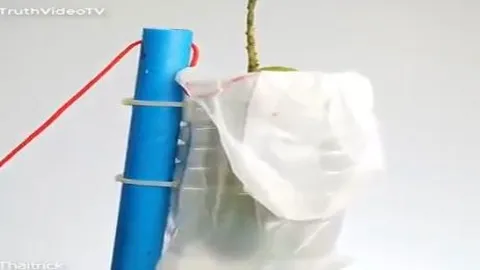 Cách làm dụng cụ bọc quả cây từ chai nhựa đơn giản mà thông minh