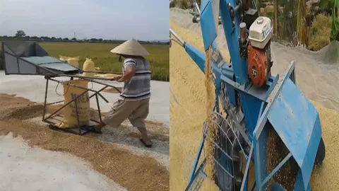 Máy xúc lúa tự chế siêu tiện lợi của những người nông dân thứ thiệt 