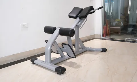 Ghế tập bụng có giảm mỡ không? Trải nghiệm thực tế từ người dùng