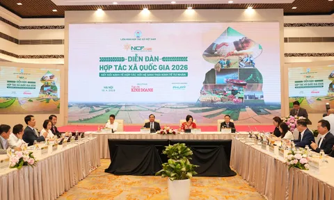 Kết nối hợp tác xã với kinh tế tư nhân