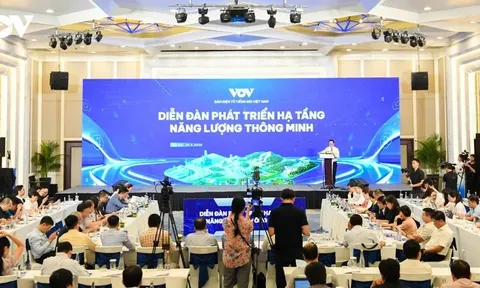Diễn đàn phát triển hạ tầng năng lượng thông minh