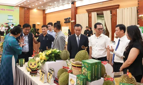 Lễ hội Sầu riêng Đắk Lắk 2026 hướng tới quảng bá thương hiệu toàn cầu