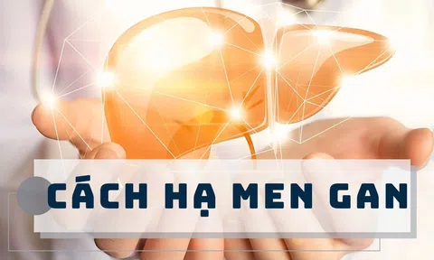 9 cách hạ men gan hiệu quả và kiểm soát chỉ số