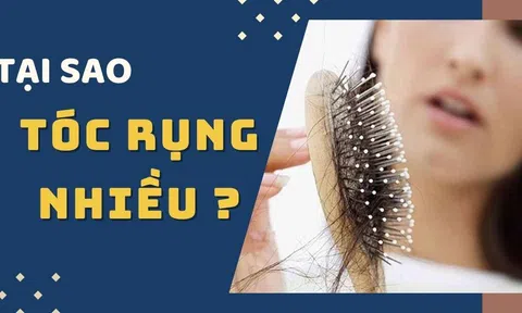 Tại sao tóc rụng nhiều vào trong mùa thu? Mỗi ngày rụng bao nhiêu sợi là bình thường?