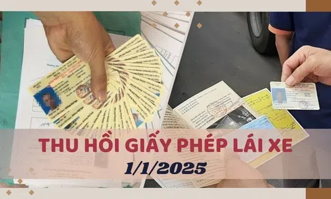 Luật mới từ 1/2025, 3 trường hợp bị thu hồi giấy phép lái xe. Bạn có nằm trong số đó?