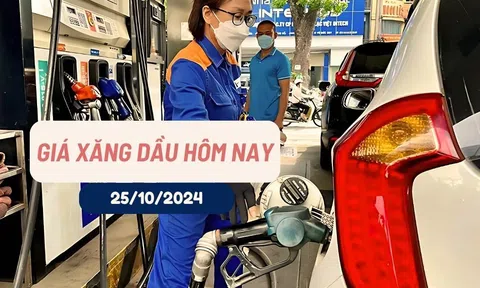 Giá xăng dầu hôm nay 25/10/2024: Trong nước và thế giới đồng loạt giảm nhẹ