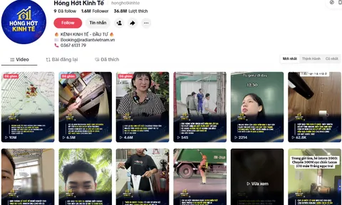 Khi "Hóng Hớt Kinh Tế" trở thành trạm sạc cho những tâm hồn giới trẻ