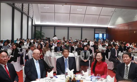 VAJA: Cầu nối hữu nghị Việt Nam - Nhật Bản