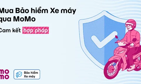 Hướng dẫn cách tra cứu thời hạn bảo hiểm xe máy online cực nhanh