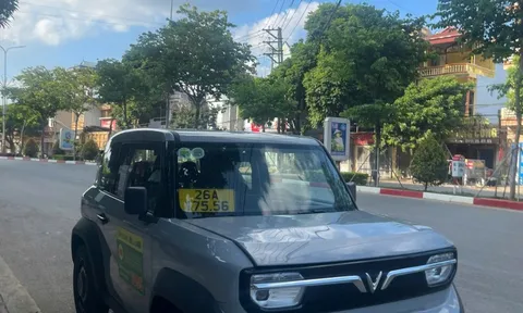 Xuất hiện chiếc VinFast VF 3 đầu tiên của ông Phạm Nhật Vượng chạy dịch vụ taxi Mai Linh?