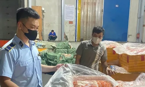 Phát hiện kho đông lạnh chứa hơn 7 tấn nội tạng không rõ nguồn gốc
