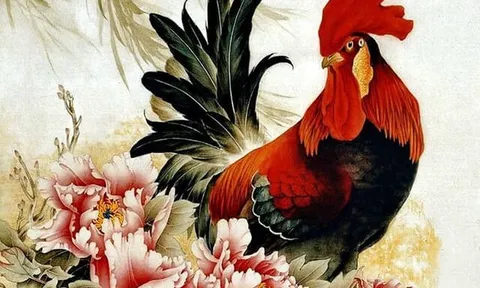 Tử vi hôm nay 28/5: 3 con giáp may mắn, gặp cơ hội tuyệt vời trong tài chính