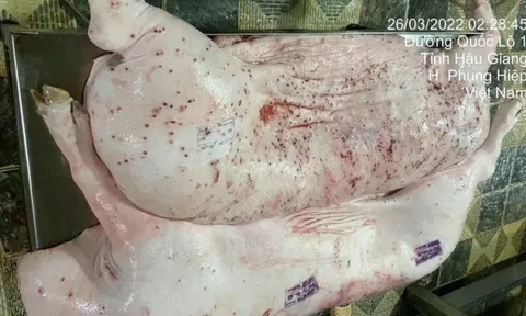 C.P. Việt Nam lên tiếng khi bị tố bán thịt heo, gà bệnh ra thị trường