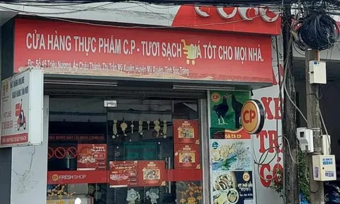 Người tố C.P. bán heo bệnh là nhân viên cũ, đã nghỉ việc từ năm 2023
